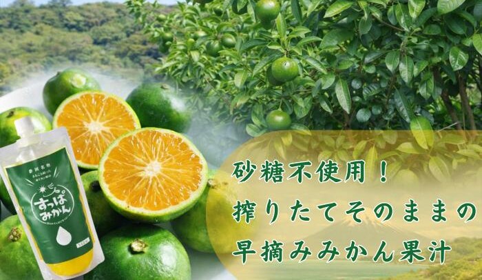 すっぱみかん